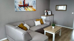 Beautiful apartment in the city center